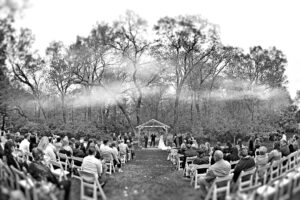 Central Wisconsin wedding venue near Wisconsin Dells at Caribou Bay Retreat – outdoor woodland wedding ceremony with guests seated beneath tall trees and soft natural light